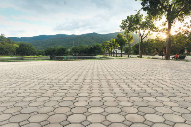 Best Affordable Driveway Pavers  in Blackstone, VA