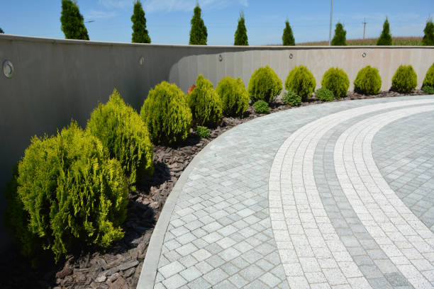 Best Driveway Paving Contractor  in Blackstone, VA